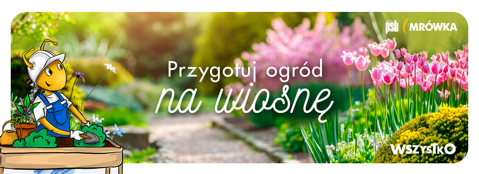 Grupa PSB mrowka Mrówka Gajków